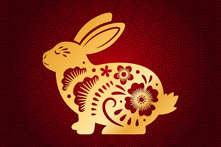 Lunar New Year: Year of the Rabbit